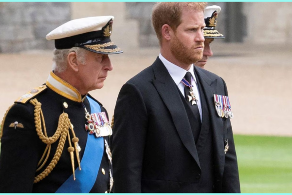 könig charles prinz harry treffen