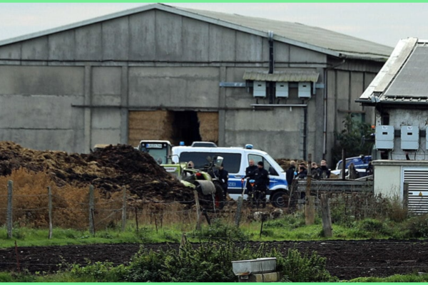 fall fabian neue spur